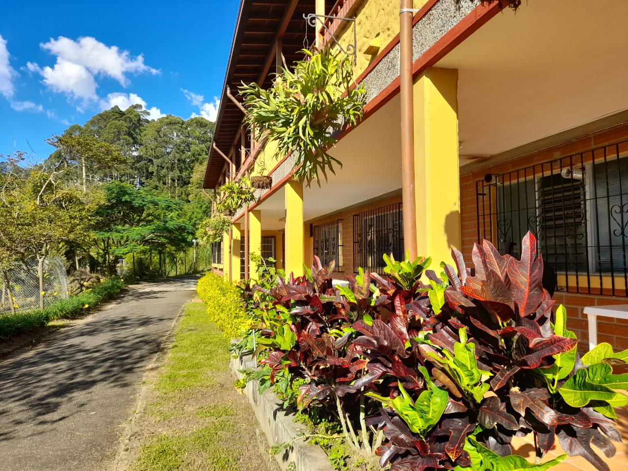 #